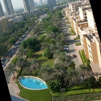 Thouraya EL harzy
