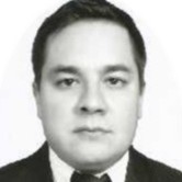 Luis Estrada Martínez