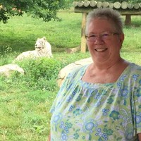 Linda Lewis
