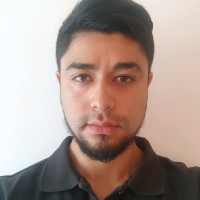 Ariel Villalobos Prado