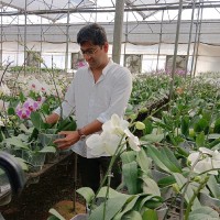 Hrishikesh S.