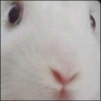 이병현