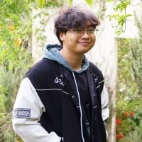 Hoang Hiep Phung