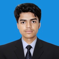 Noor Ansari