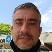 Ricardo Pulini