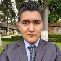 Miguel Angel Meneses Pérez