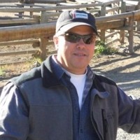 Steve N.