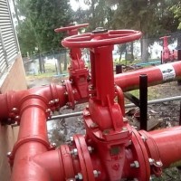 Ricardo Rey Teheran Henriquez