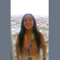 Kristel Bocanegra Dieguez