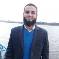 محمود الفقي