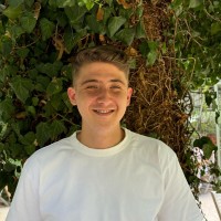 Luca Alexandrescu