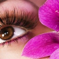 EgoSpa Halstead