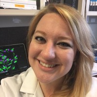 Brittany Kiehler-Janish, Phd