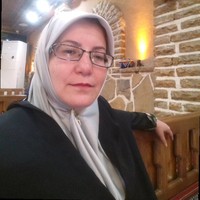 Maryam Ahmadzadeh