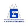 Fundación Leopoldo Garrido Miralles
