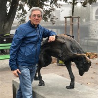 sakchai Weerasakwattana