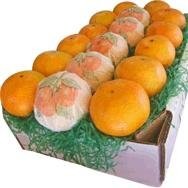 Fruit Baskets