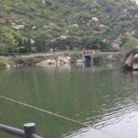 陈先锋