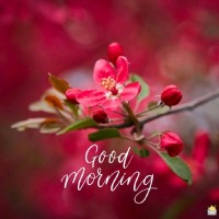 Rathi J