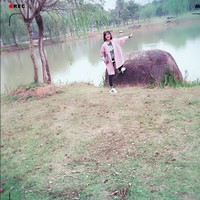 宁春美