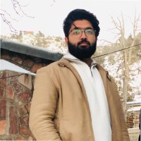 Muhammad Hamza Nadeem