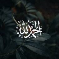 عصام زواوي