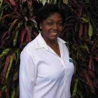 isola giddings