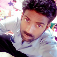 Raja Singh