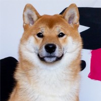 Bodai Kuma