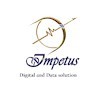 I-impetus Digital and Data Solution