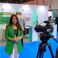 Nadeen Salameh
