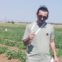 Erhan Turan