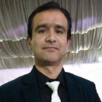 Zulfiqar Hussain