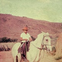 Josino Medina