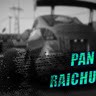 Mr. Raichu