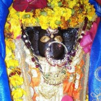 Awdhesh Rai