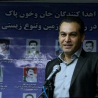 Mojtaba A.