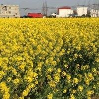 朱永庆