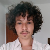 João Pedro Guimarães Vila Real