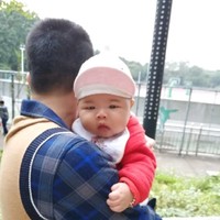 天乐linyou