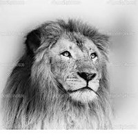 oscar silva martinez