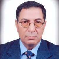 ahmed hassanin