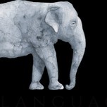 Meta Language Company