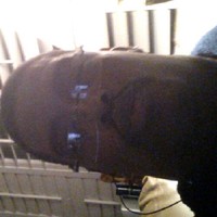 Darryl Joiner
