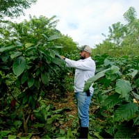 Obed Nieves Salamanca