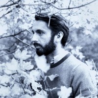 Robin Hamon