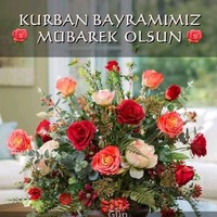 Birol Aydoğmuş