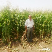 Boualem ALI BOUDHAR