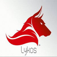 Lykos Marketing Group LLC