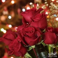 Heba Yousef
